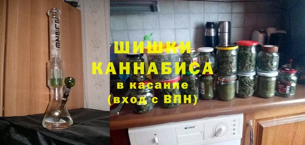 гашик Вязьма